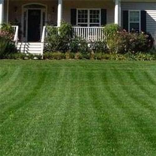 Outsidepride Combat Extreme Northern Zone - 10 Lbs Cold-Hardy, Drought-Resistant Turf Type Tall Fescue & Kentucky Bluegrass Lawn Grass Seed Blend, OptiGrowth Coated for Better Establishment