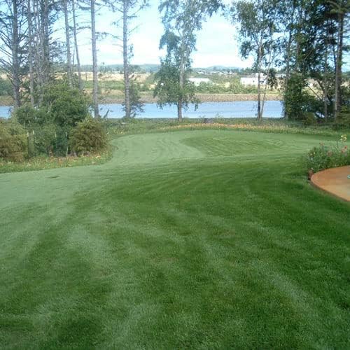Outsidepride Combat Extreme Transition Zone Grass Seed Blend for Lawn 25 lbs - Fine, Medium Leaf Blades & Dense Turf for Sun, Shady & High Traffic Areas w/OptiGrowth Coating for Seed Enhancement