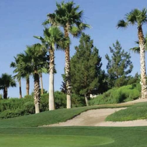 Outsidepride Royal TXD Bermuda Grass Seed Blend - 2 lbs. Warm Season, Fast Growing Turf Grass Seeds: Heat & Drought Tolerant, Ideal for Home Lawns & Sports Fields, Dense & Lush Green Coverage