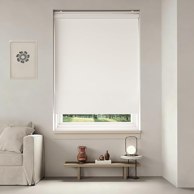Window Blinds Cordless,Blackout Roller Shades,Blinds for Indoor Windows,Door Curtains,Room Darkening,Insulated UV Protection Pull Down Shades,with Spring System (White, 24" W x 72" H)