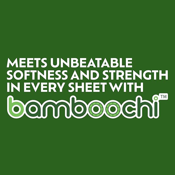 Bamboo Toilet Paper, Septic Safe Toilet Paper 2 Ply 12 Rolls 300 Sheets Per Roll, Soft Unscented Bath Tissue, RV Safe, Eco-Friendly, Non Chlorine, PFAS Free, Made in Canada