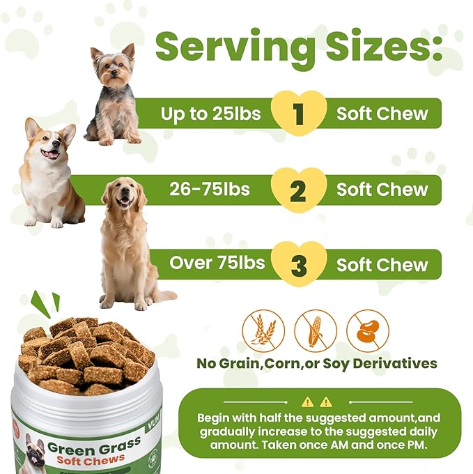 VUN Green Grass Dog Chews,Dog Urine Neutralizer for Lawn,Prevent Yellow Grass Spots&Lawn Burn, Lawn Saver,Support Urinary & Digestive Health with DL-Methionine,Cranberry & Probiotics-100 Soft Chews