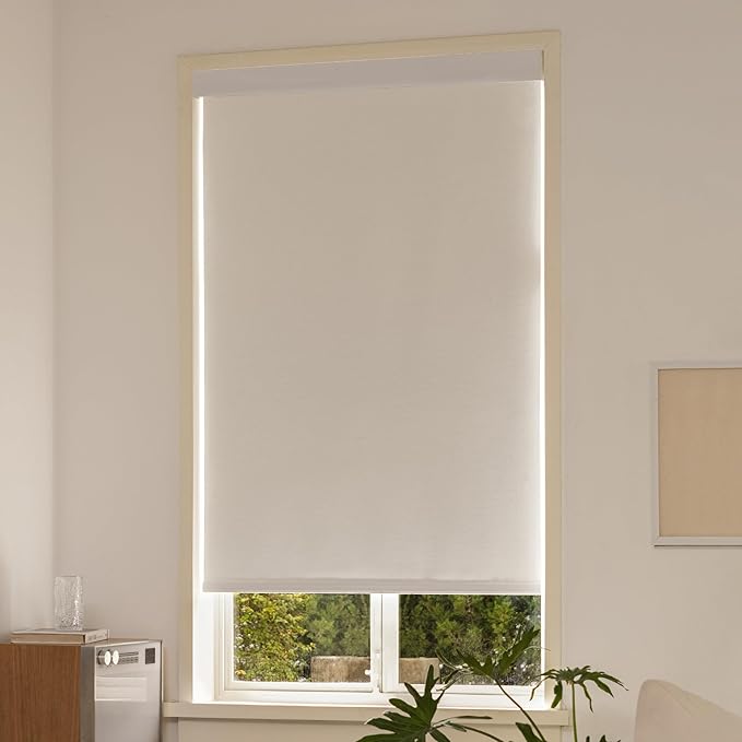 100% Blackout Shades for Indoor Windows, Cordless Roller Window Shades Pull Down, Thermal Insulation & UV Protection Shades for Home,Office,Bedroom, White 24"x72"