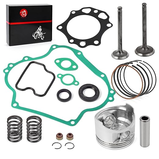 290cc Engine Rebuild Kit Piston & Ring Gasket Seal Intake Exhaust Valve Compatible with Club Car Golf Cart DS Predent FE290 1016459-01 1023047-01 1016447 1016448 1023047-01 6751