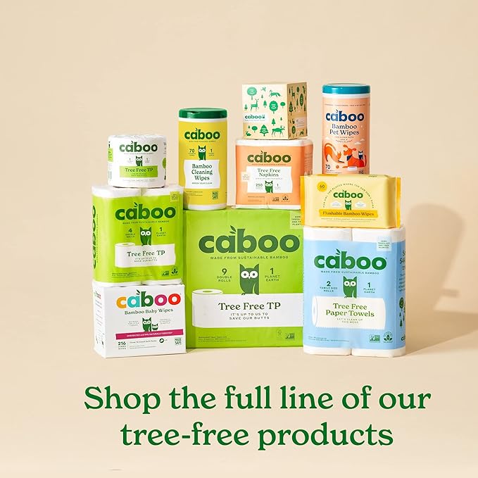 Caboo Tree Free Paper Towels, 2 Rolls, Tree Free, Eco Friendly, Earth Friendly, Sustainable Kitchen Paper Towels with Strong 2 Ply Sheets