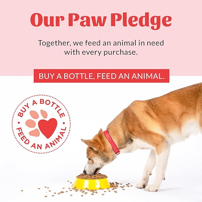 SKOUT'S HONOR Pet Stain and Odor Remover - Powerful Cleaner for Dog Urine, sweat, and other messes, Destroys and Removes Odor and Stain Molecules, Eco-Friendly Formula for Carpets and Home, 35oz