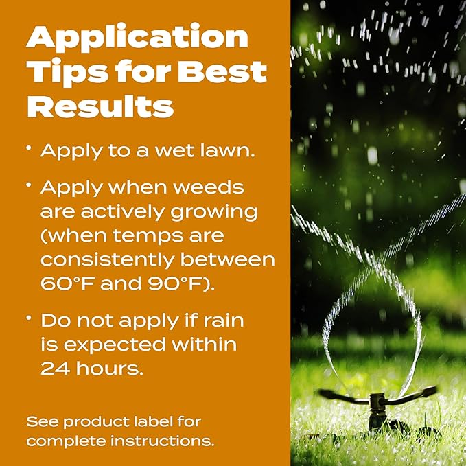 Scotts Turf Builder WinterGuard Fall Weed & Feed5, Weed Killer Plus Fall Fertilizer, 12,000 sq. ft., 33.84 lbs.