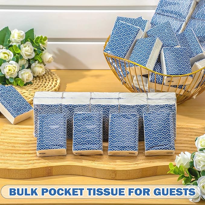 Therwen 100 Pack Pocket Tissues Travel Packs Bulk 1000 Sheet Mini Tissues Bulk 3 Ply Small Travel Size Paper Individual Pocket Size (Cool)