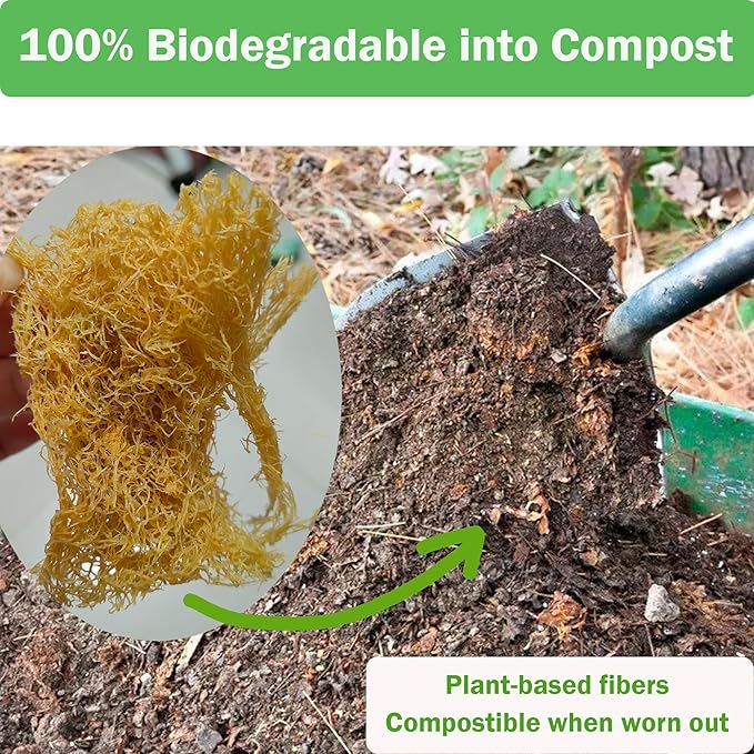 Large Natural Dish Scrubber, Loofah Dishwashing Sponge (6 Pcs), No Scratch for Dish, Large Size 5.2"L*3.2"W, Loofah Plant Kitchen Eco-Scrubber, Zero Waste and Eco Friendly Sponges, Unbleached.