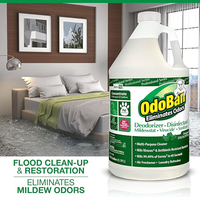 OdoBan Professional Disinfectant and Odor Eliminator Concentrate, 3-Pack, 1 Gallon Each, Original Eucalyptus Scent