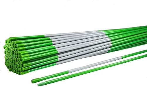 5ft Green Pro Snow Stakes - 60" x 5/16" Driveway Markers, Pointed Tip, Hy Viz Reflective Tape, Armor Cap (Choose Quantity) (600)