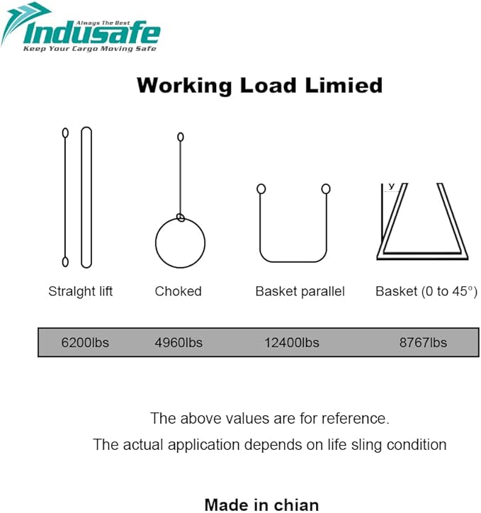 2”x9FT Lift Sling Straps, 2 Ply Polyester Rigging Straps, 6200LBS Load Capacity Flat Eye-Eye Web Sling for Hoist, Tree Stumps, Heavy Duty Cargo