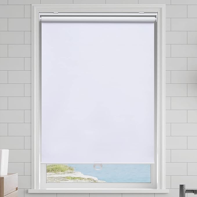 Cordless Roller Shades Blackout Blinds for Windows Room Darkening Rolled Up Shades with Spring System, UV Protection Window Shades Door Blinds for Home and Office (66" W x 72" H, White)