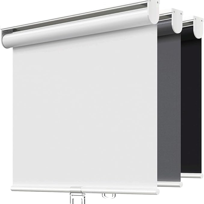 Window Blinds Cordless,Blackout Roller Shades,Blinds for Indoor Windows,Door Curtains,Room Darkening,Insulated UV Protection Pull Down Shades,with Spring System (White, 24" W x 72" H)