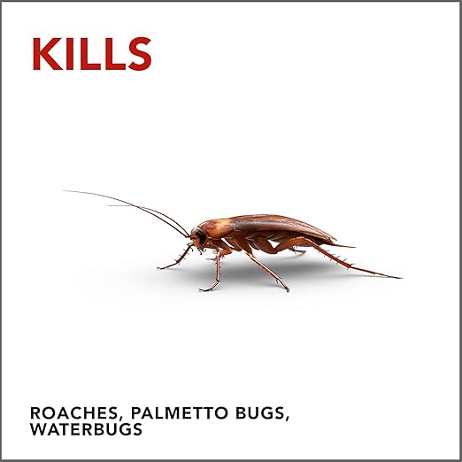 Raid Double Control Large Roach Baits (8 Count (Pack of 3))