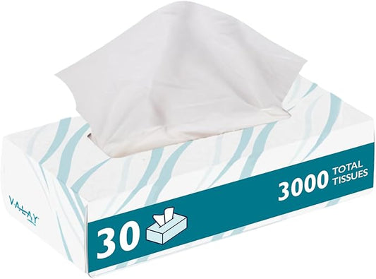 Morcon Valay Facial Tissue Paper | Soft, Absorbent Hand and Face Wipes, Premium Facial Tissues Boxes for Personal Care, 30 Pack of White 2-Ply Tissues | 100 sheets Per Box