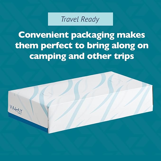 Morcon Valay Facial Tissue Paper | Soft, Absorbent Hand and Face Wipes, Premium Facial Tissues Boxes for Personal Care, 30 Pack of White 2-Ply Tissues | 100 sheets Per Box