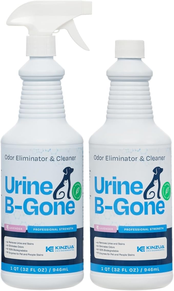 KINZUA ENVIRONMENTAL Urine B-Gone, Professional Enzyme Odor Eliminator & Pet Stain Remover, Human, Cat & Dog Urine Cleaner, Effective on Laundry, Carpets & More, Lavender Scent, 32oz, Pack of Two