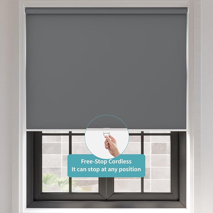 MYshade Blackout Cordless Roller Shades, Room Darkening Free-Stop Roll Up Blinds for Windows, Pull Down Blocking Blind for Home and Office, Easy to Install, 28" X 72", Grey