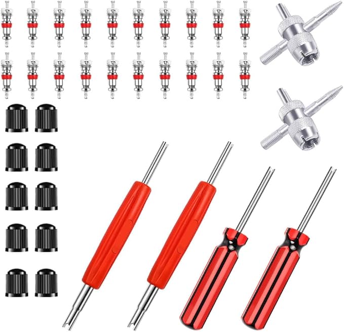Riseuvo 6Pcs Tire Valve Stem Removal Tool - Single and Double Heads Valve Core Remover, 4-Way Valve Tool Great Tire Repair Tool, 10pcs Valve Stem Caps, 20pcs Valve Stem Core