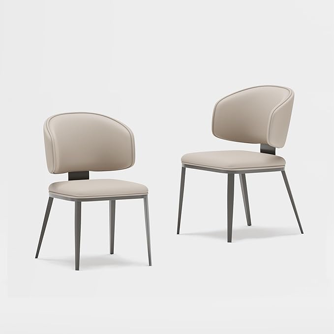 Dining Chairs Set of 2 Modern High Backrest Comfortable, Fashion Upholstered Kitchen Room Chair Armless Dinner Room Chair with Metal Legs for Living Room （Light Grey of 2）