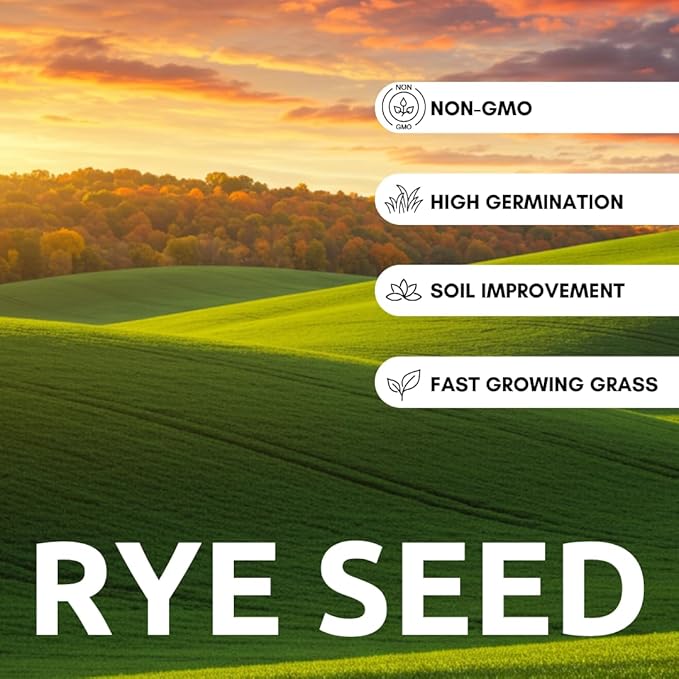 Rye Grass Seed - Fast Growing and Hardy Grass, Cover Crop, Food Plot. Grazing Pasture Seeds (5 Pounds)