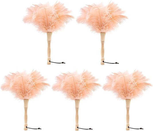 Ostrich Feather Duster 12 Inch Handheld Duster Supplies, Wooden Handle Feather Duster for Cleaning Keyboard Home Car Office (Champagne 5Pcs)