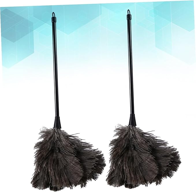 2pcs Natural Bird Plumage Dust Removal Brushes with Plastic Long Handles Lightweight Cleaning Tools for Kitchen Car Office High Reach Dusting (2pcs)