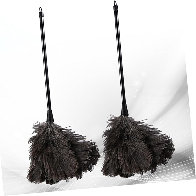 2pcs Natural Bird Plumage Dust Removal Brushes with Plastic Long Handles Lightweight Cleaning Tools for Kitchen Car Office High Reach Dusting (2pcs)