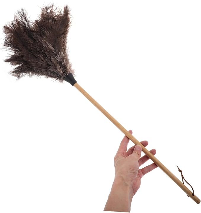 Handle Brush with Nonslip Matte Finish Large Surface Gentle Dust Brush for Home Office Car Cleaning Traditional Household Dusting Broom