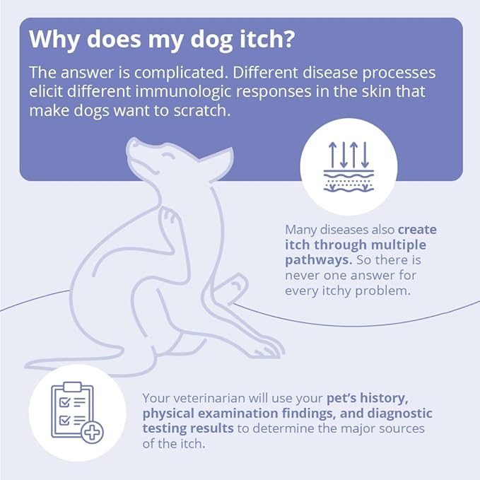 MiconaHex+Triz Mousse for Dogs, Cats and Horses, 7.1 oz