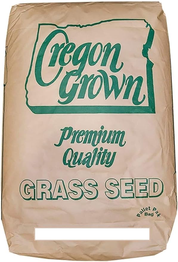 Annual Ryegrass Seeds for Planting - Premium Quality Rye Grass (1/2 Pound)