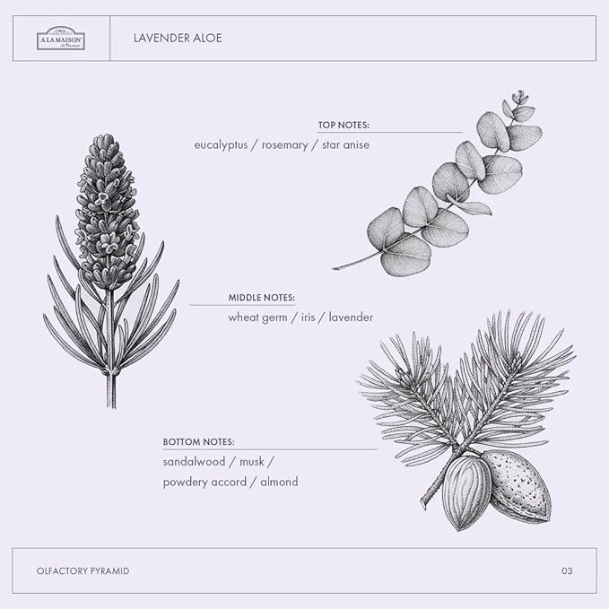 A LA MAISON French Liquid Hand Soap RefilL - Natural Hand Wash Made with Essential Oils - Biodegradable, Plant-Based, Vegan, Cruelty-Free (33.8 Fl Oz Pouch (2 Pack), Lavender Aloe)