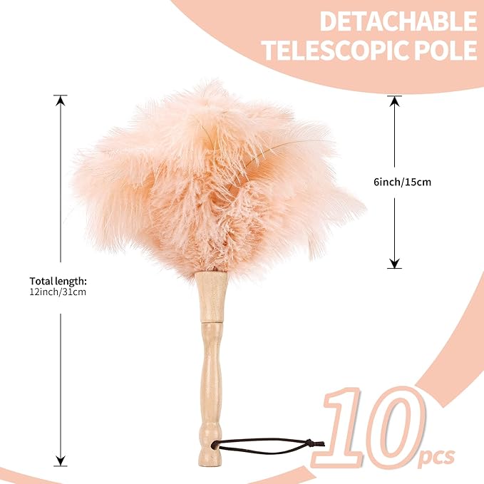 Ostrich Feather Duster 12 Inch Handheld Duster Supplies, Wooden Handle Feather Duster for Cleaning Keyboard Home Car Office (Champagne 10Pcs)