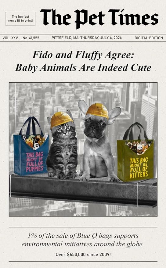 Blue Q Handy Tote, This Bag Might Be Full of Kittens. Reusable lunch sack, little gift bag, easy-to-wipe-clean, 95% recycled material, 10" h x 8.5" w x 4.5" d