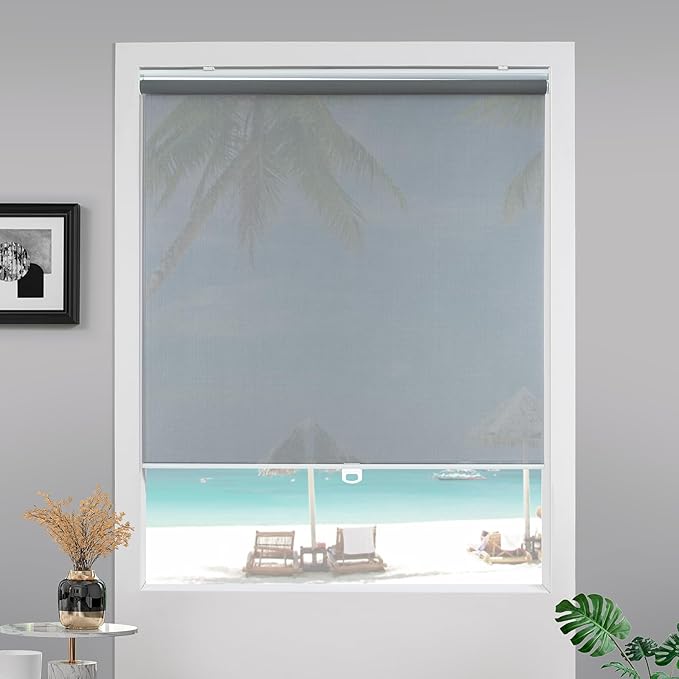 Cordless Roller Shades for Windows,Light Filtering Pull Down Blinds,Solar Screen Door Blinds,Flame Retardant UV Protection Fabric for Home Office (34" W x 72" H,Solar Grey)