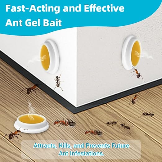 64 Pack Ant Killer Gel Bait, Long Lasting Indoor & Outdoor Ants Bait for Effective Ant Control, Safe & Easy to Use Pest Control for All Common Household Ants, Mess-Free Gel Stations