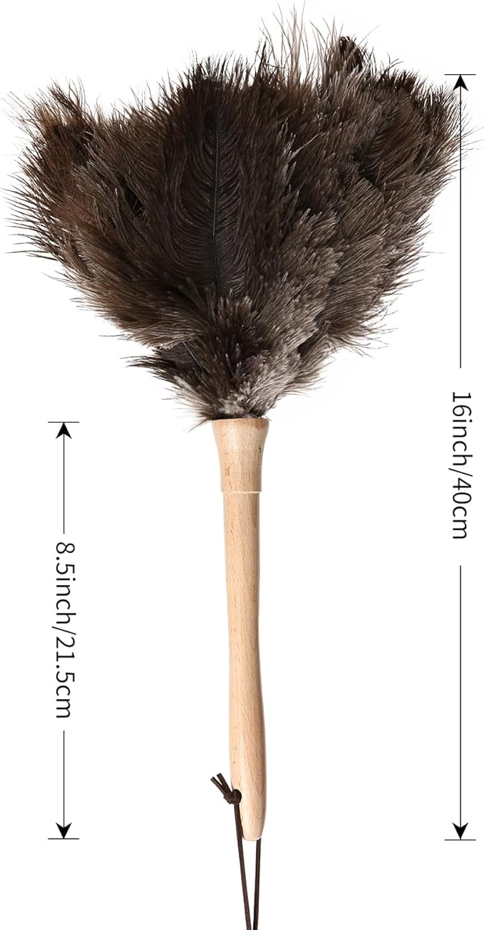 Ostrich Duster Fluffy Natural Feather Dusters with Wooden Handle Cleaning Supplies for Home Office CarDaieeparty (1, 16inch)