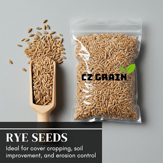 Rye Grass Seed - Fast Growing and Hardy Grass, Cover Crop, Food Plot. Grazing Pasture Seeds (25 Pounds)
