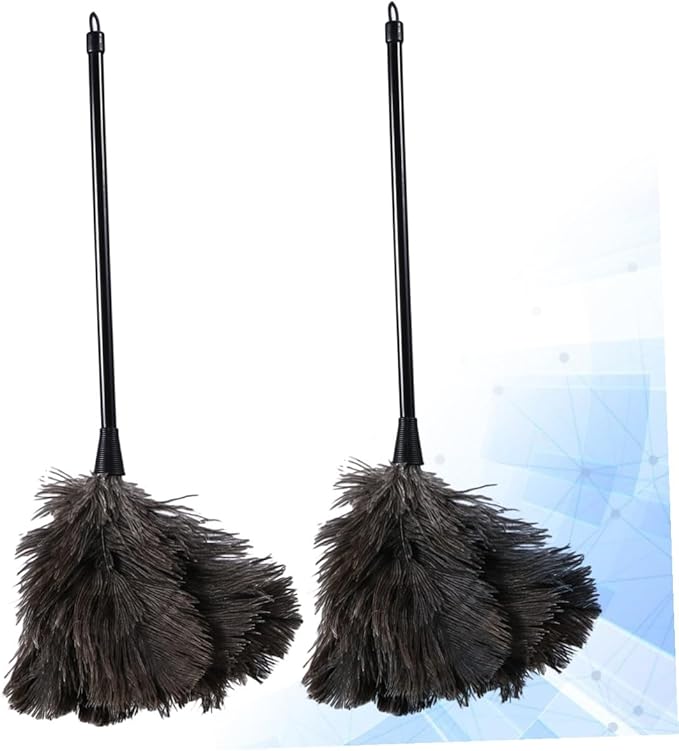 2pcs Natural Bird Plumage Dust Removal Brushes with Plastic Long Handles Lightweight Cleaning Tools for Kitchen Car Office High Reach Dusting (2pcs)