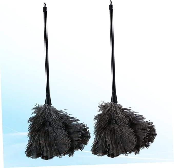 2pcs Natural Bird Plumage Dust Removal Brushes with Plastic Long Handles Lightweight Cleaning Tools for Kitchen Car Office High Reach Dusting (2pcs)