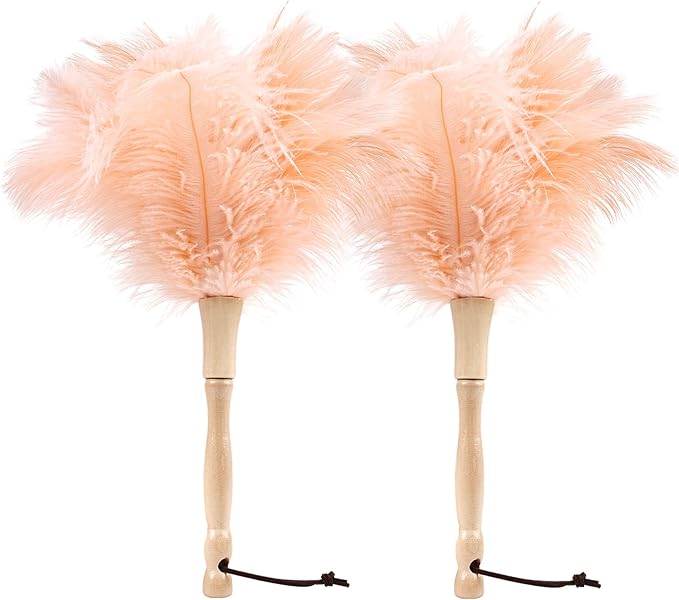 Ostrich Feather Duster 12 Inch Handheld Duster Supplies, Wooden Handle Feather Duster for Cleaning Keyboard Home Car Office (Champagne 2Pcs)