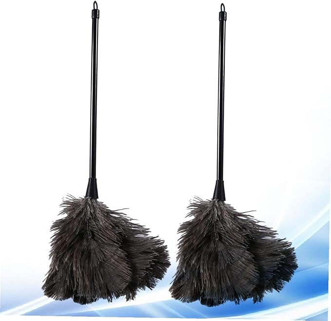 2pcs Natural Bird Plumage Dust Removal Brushes with Plastic Long Handles Lightweight Cleaning Tools for Kitchen Car Office High Reach Dusting (2pcs)