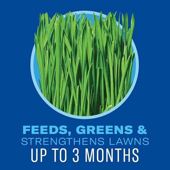 BioAdvanced 5 in 1 Weed and Feed Lawn Fertilizer, Granules, 24 lb