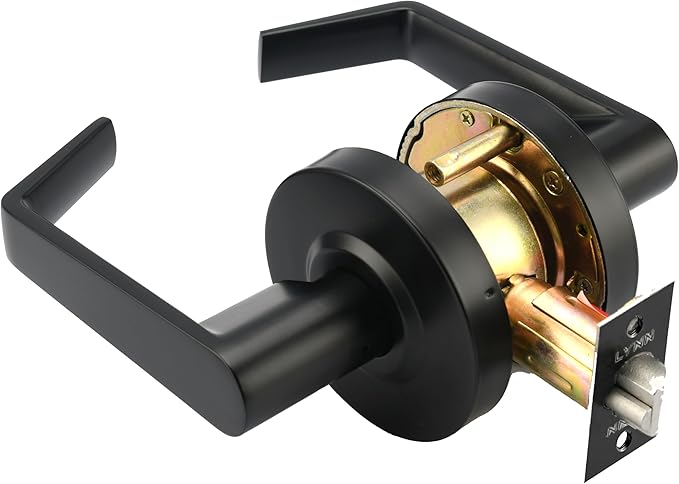 LYNN HARDWARE Classroom Commercial Door Lock - Heavy-Duty Designer Handles for Doors - Durable Grade 2 Indoor Locks for Doors - Cylindrical Lever Door Handle Lock - Matte Black