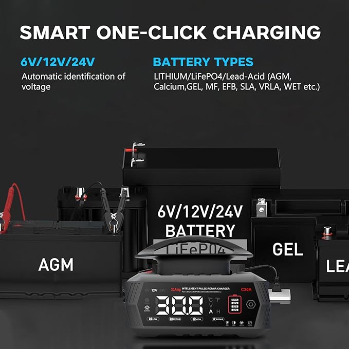 30 AMP Battery Charger, 6V/12V/24V Lead-Acid, Lithium, LiFePo4 Smart Battery Charger, Portable Large Screen Trickle Charger, Fully Automatic Chargers and Maintainer for Car, Motorcycle, Lawn Mower