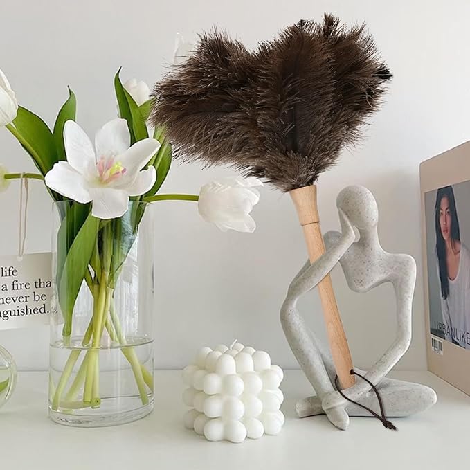 Ostrich Duster Fluffy Natural Feather Dusters with Wooden Handle Cleaning Supplies for Home Office CarDaieeparty (1, 16inch)