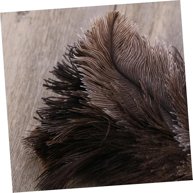 2pcs Natural Bird Plumage Dust Removal Brushes with Plastic Long Handles Lightweight Cleaning Tools for Kitchen Car Office High Reach Dusting (2pcs)