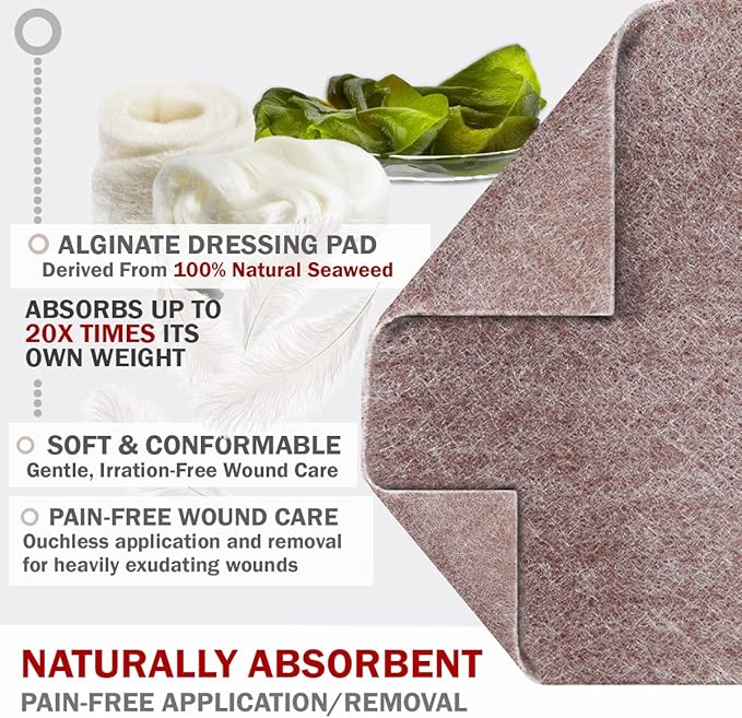 EVERLIT AG Silver Calcium Alginate Wound Dressing | Absorbent Non-Stick Sterile Dressing Pad | Gentle Hemostatic Gauze with Natural Gelling Fiber for Wound Care (4" x 4" | Pack of 10)