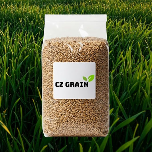 Perennial Ryegrass Seeds for Planting - Premium Quality Non-GMO Grass Seed for Lawns, Pastures, and Sports Fields (2 Pounds)